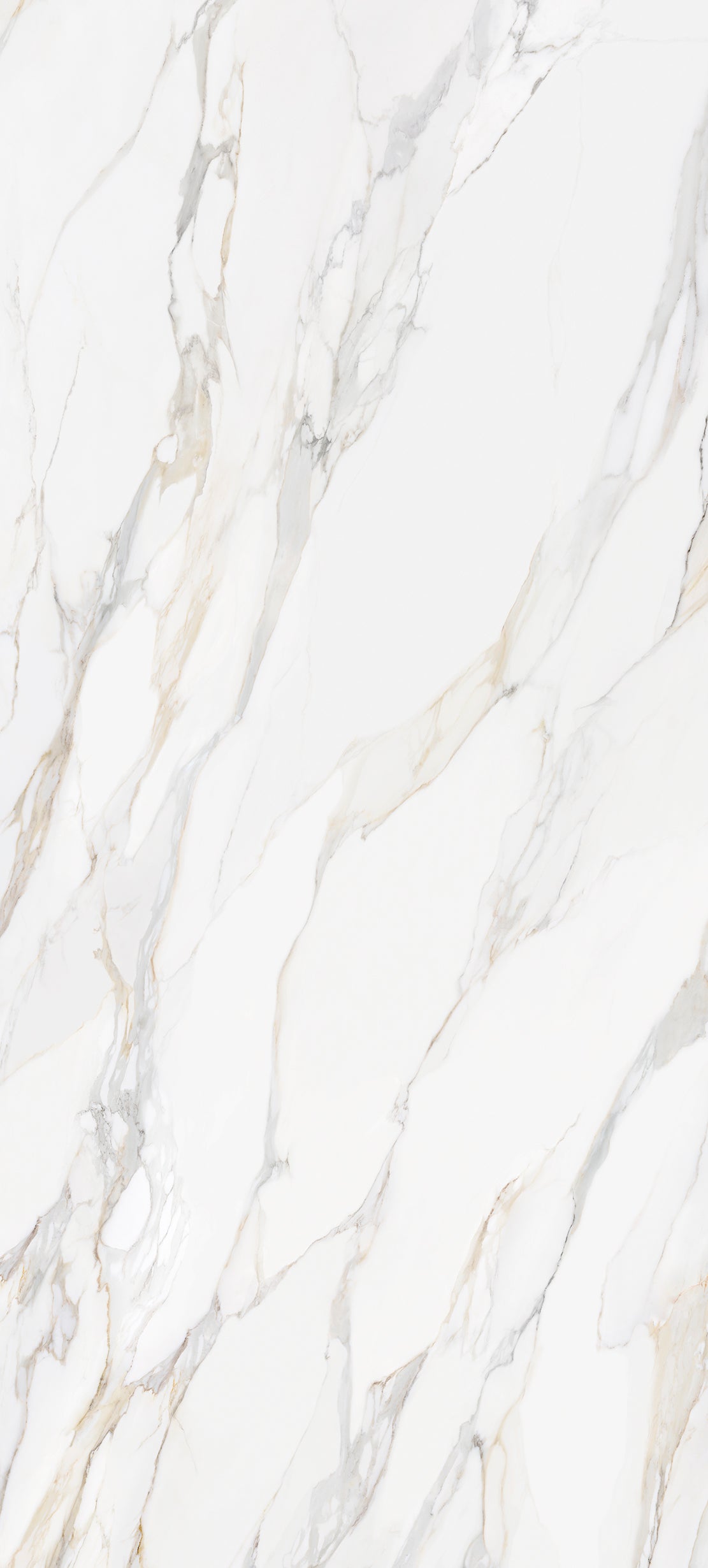 aurora-calacatta-slab-matt