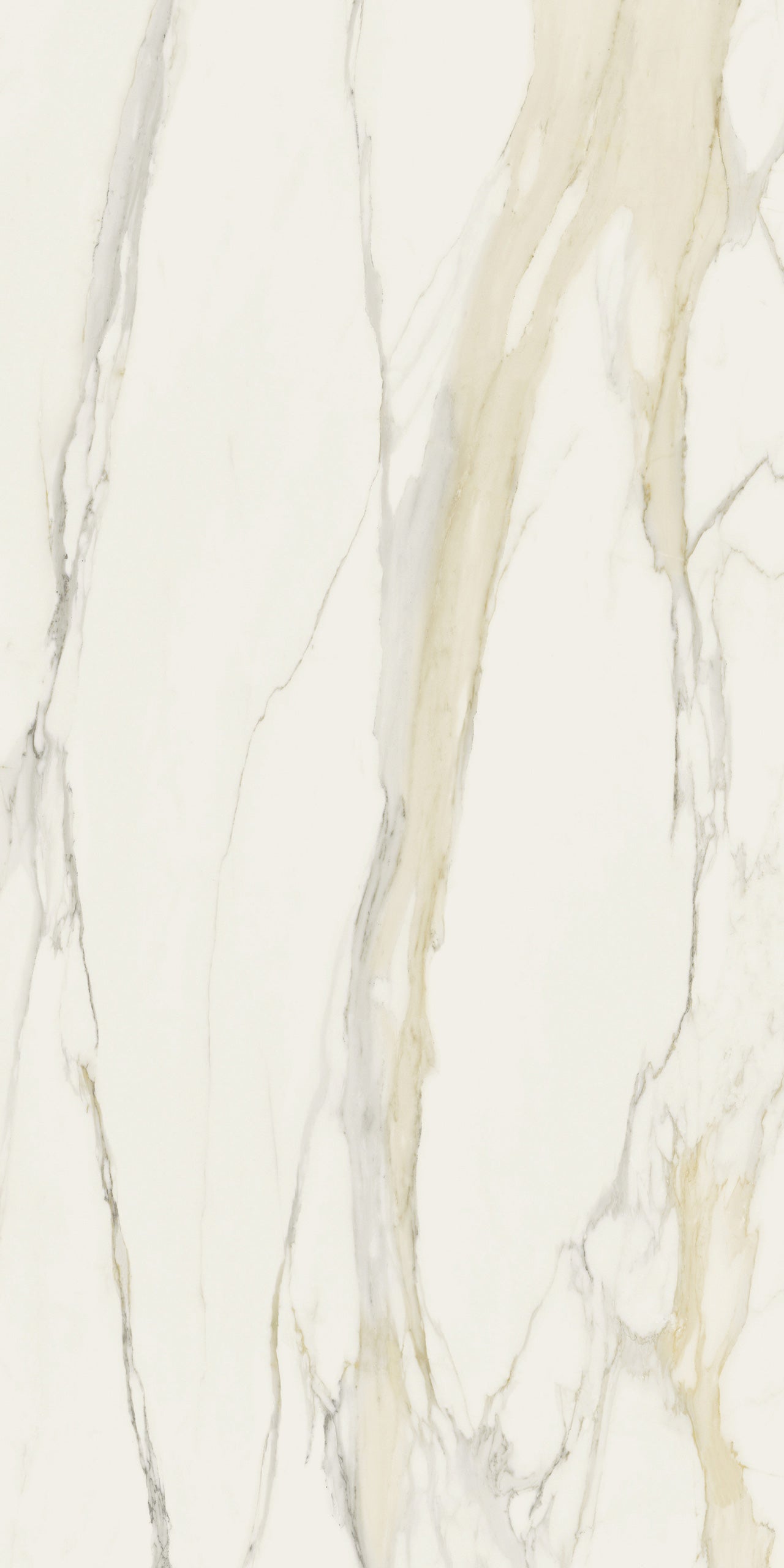 Marmi Calacatta Gold (Glossy)
