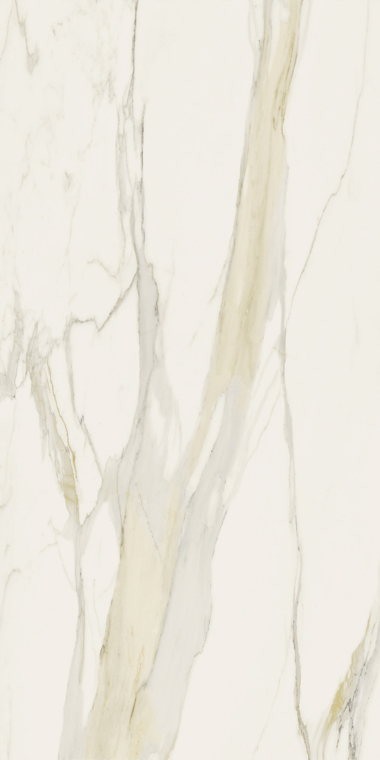 Marmi Calacatta Gold (Glossy)