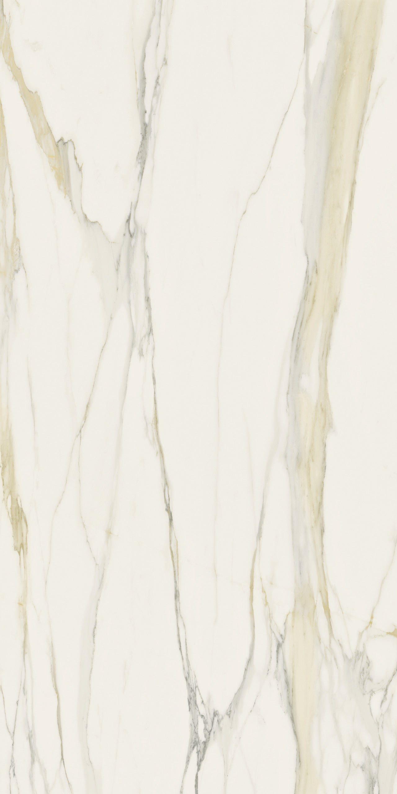 Marmi Calacatta Gold (Glossy)