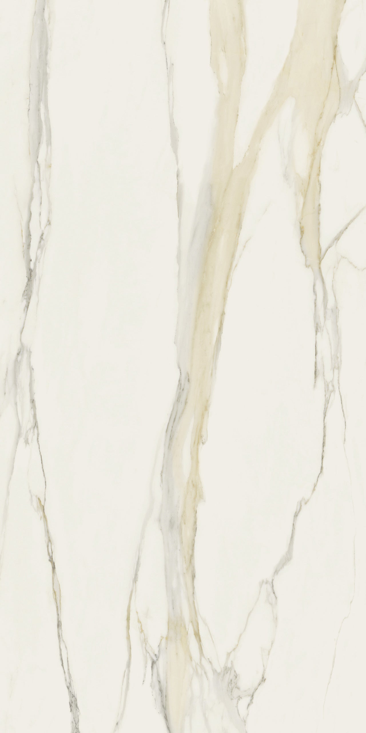 Marmi Calacatta Gold (Glossy)