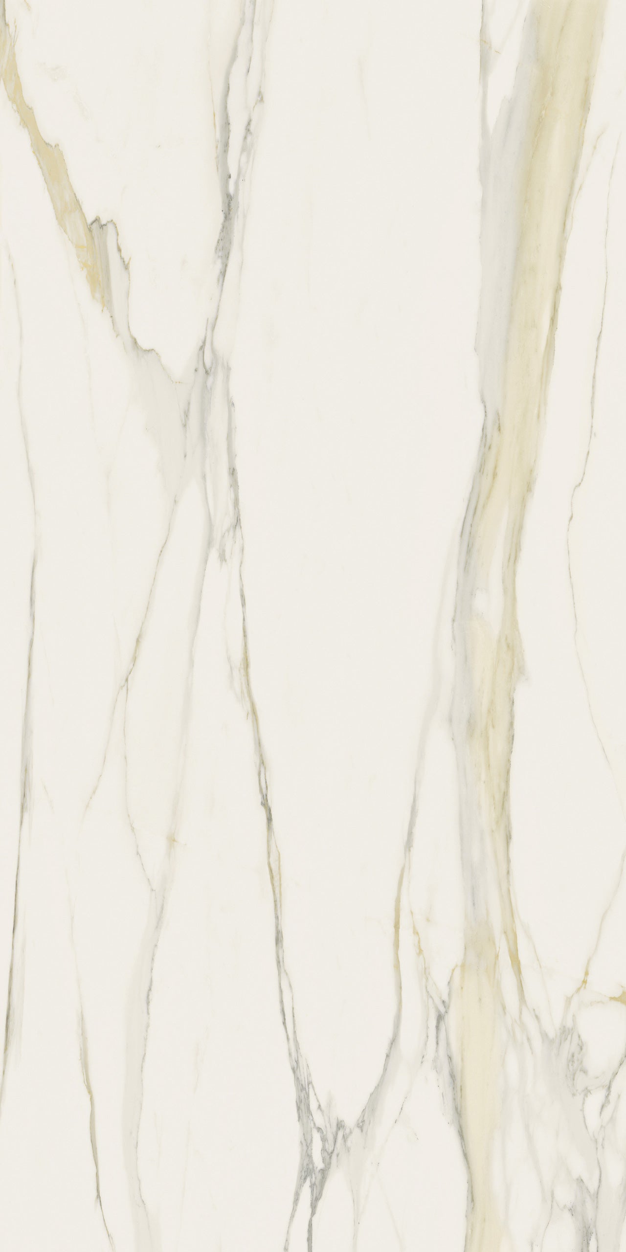 Marmi Calacatta Gold (Glossy)