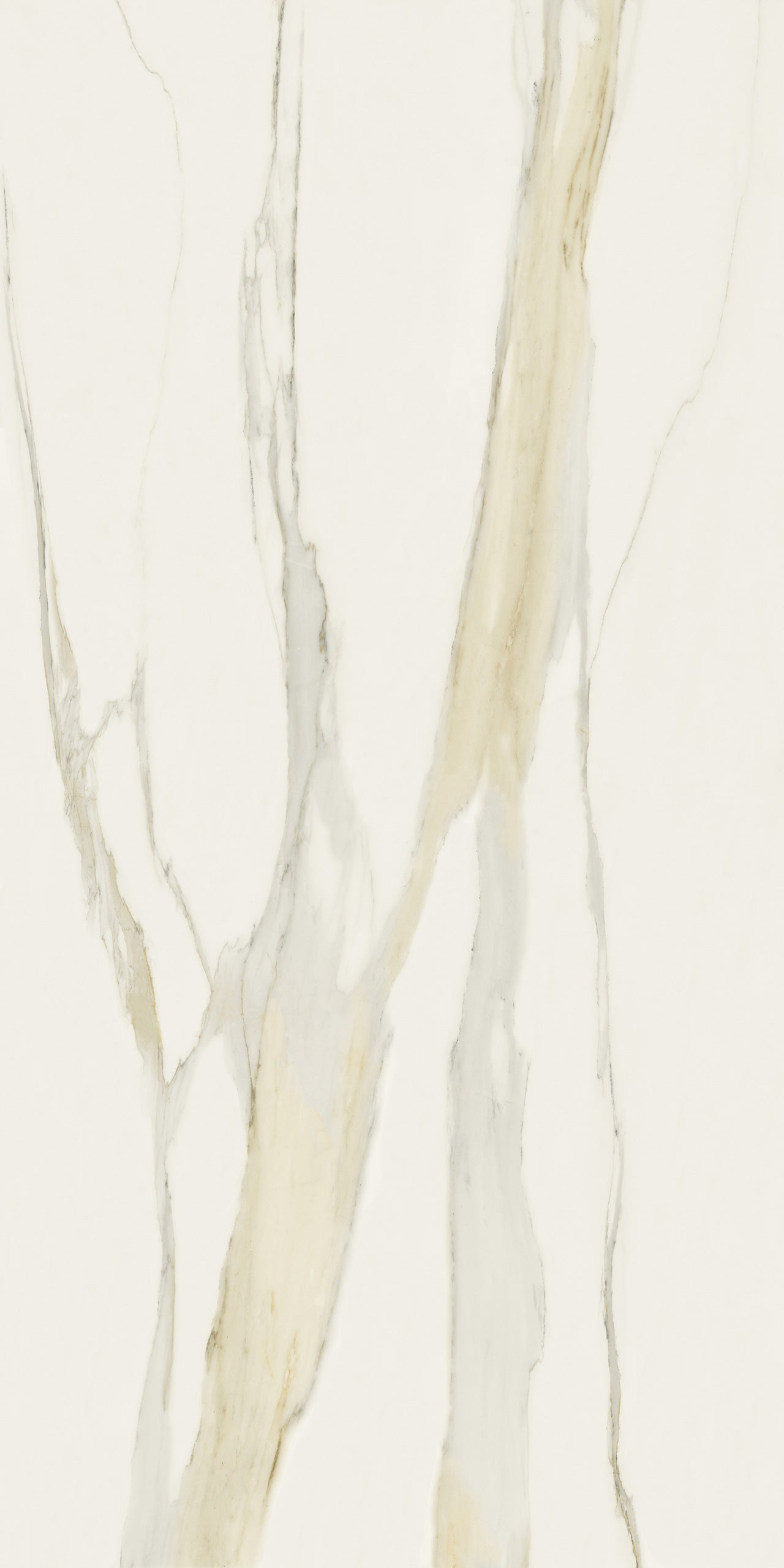 Marmi Calacatta Gold (Glossy)