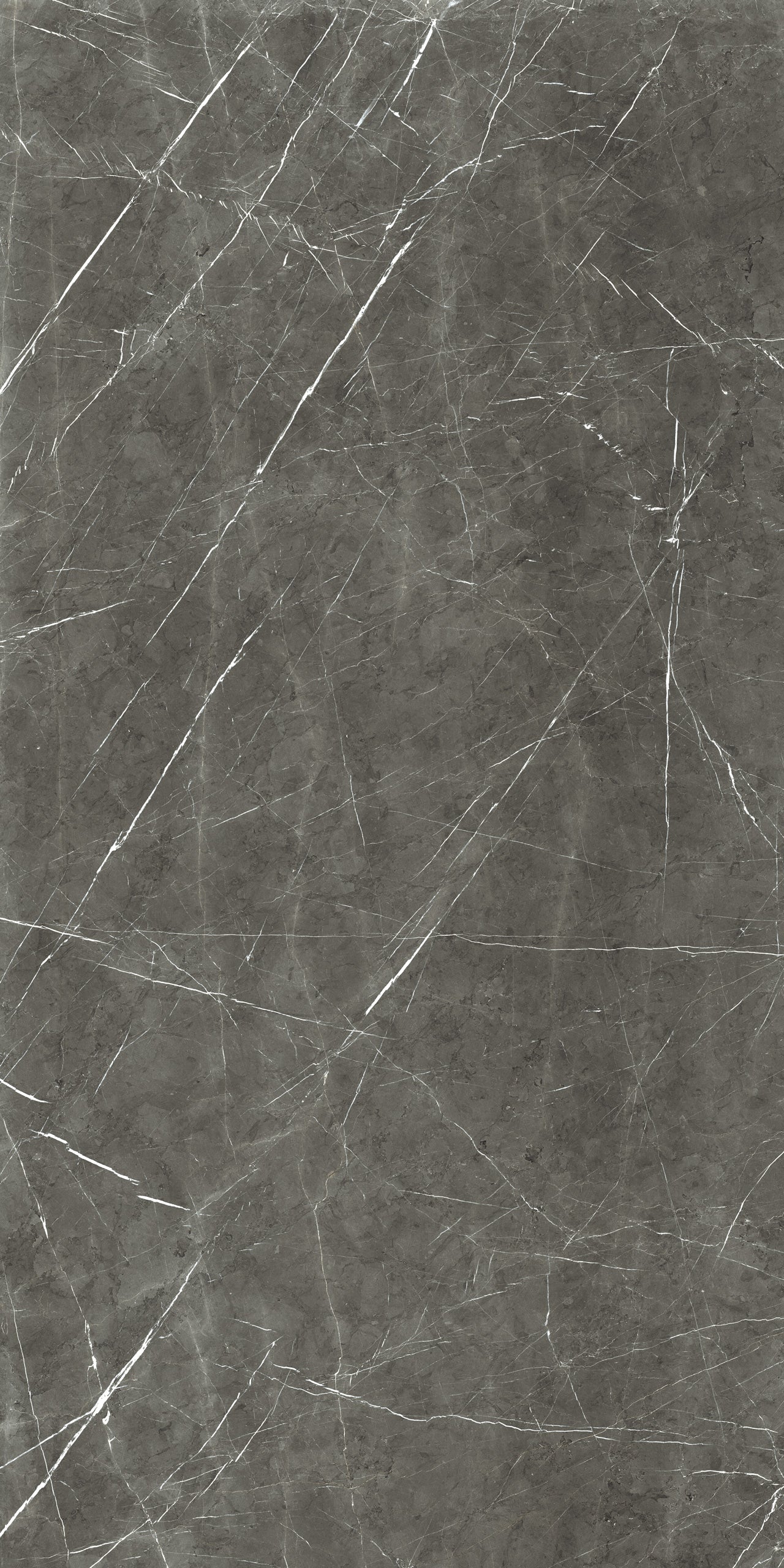 Marmi Marble Gray (Matte)
