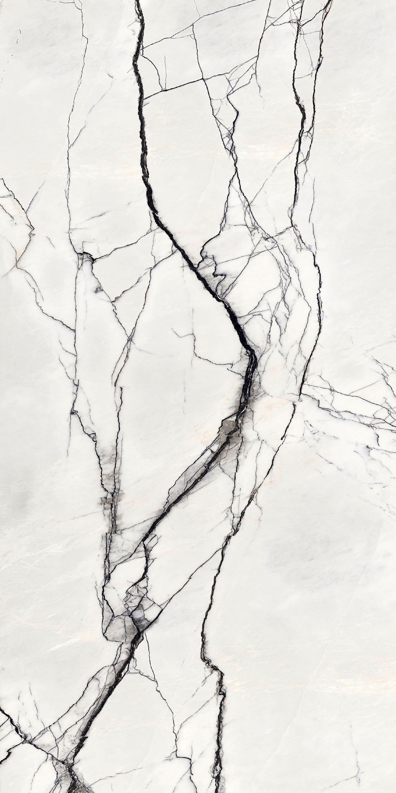 Marmi Breach (High-Glo)