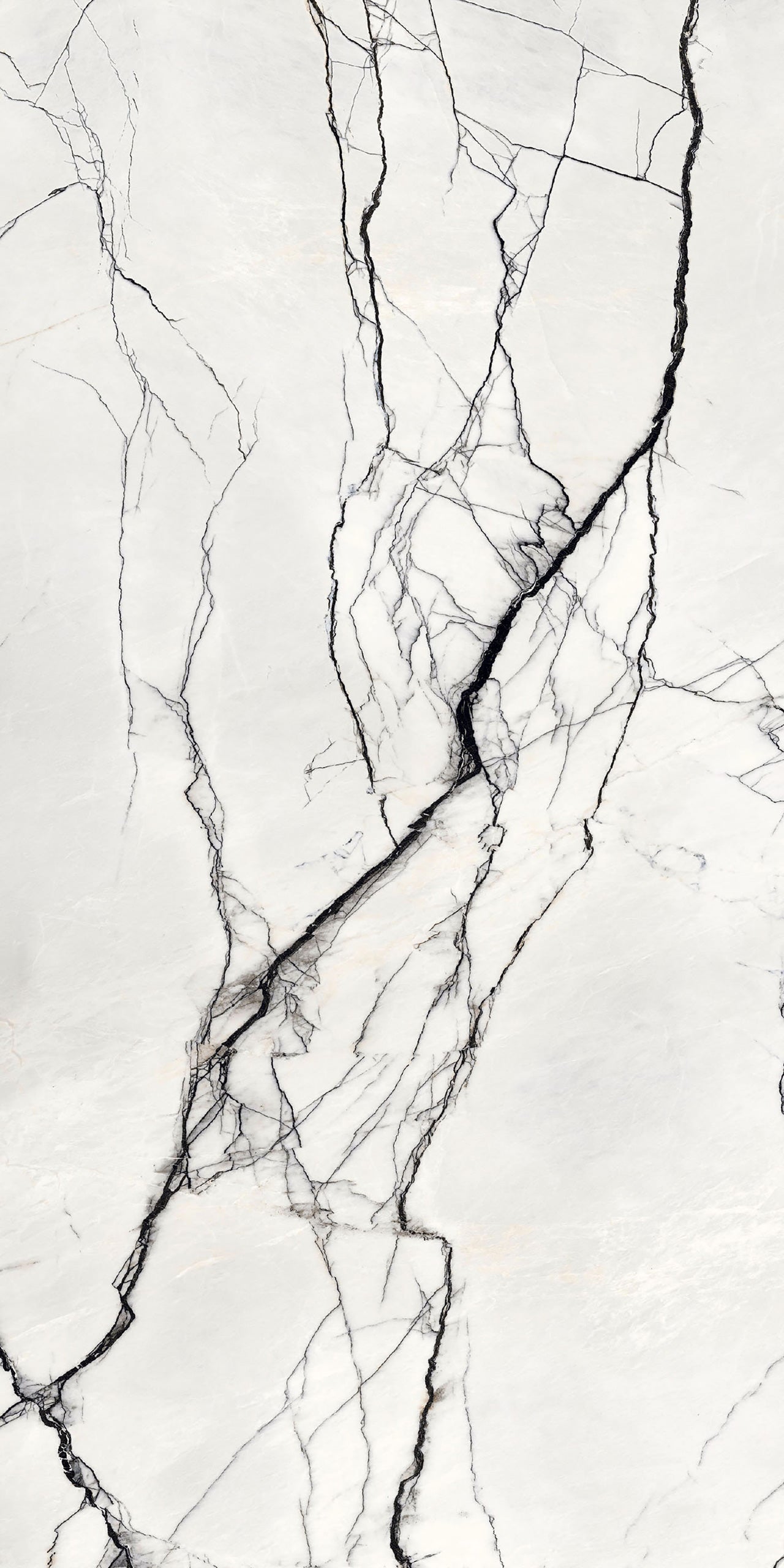 Marmi Breach (High-Glo)