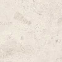 Breccia Ceppo Bone Matt