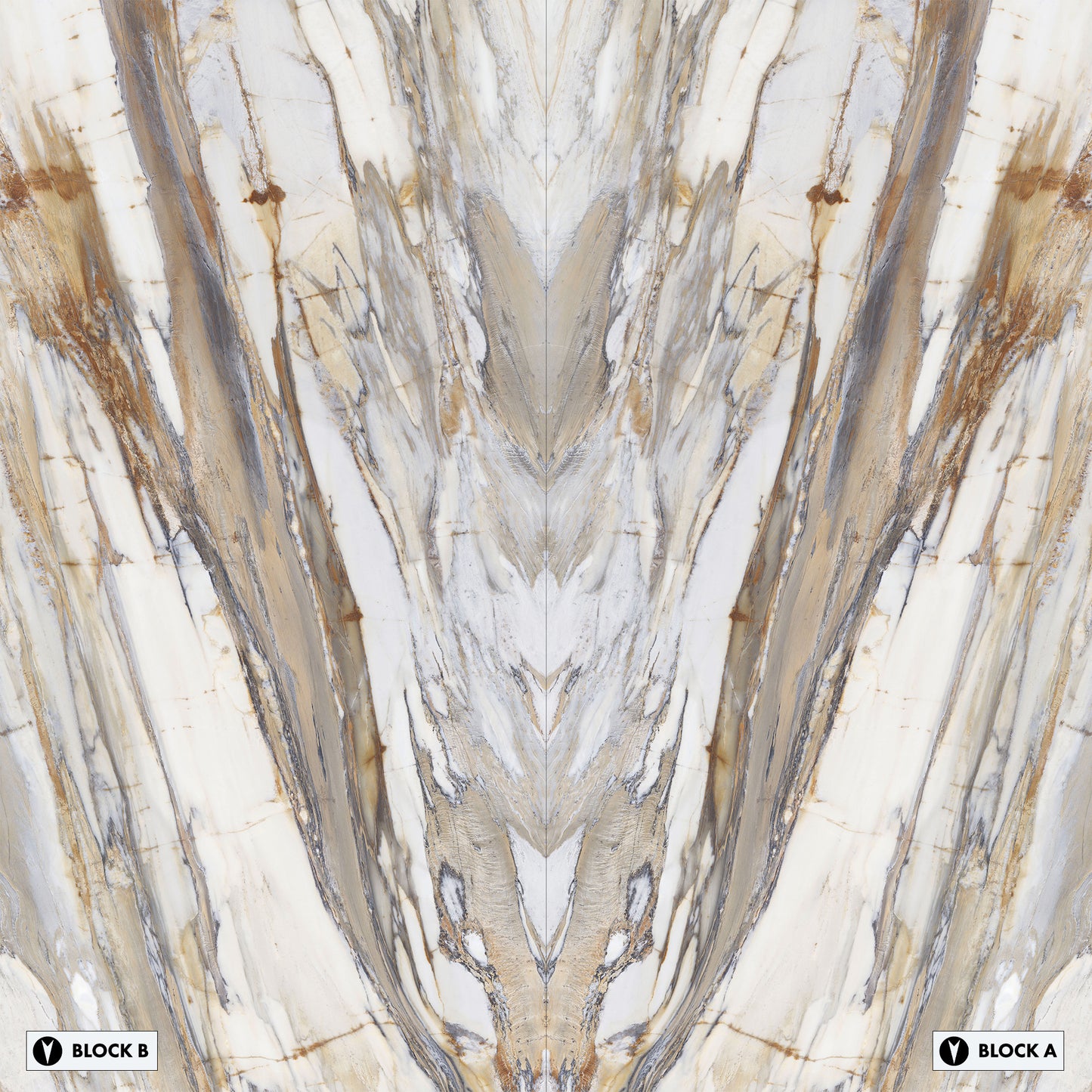 Marmi Calacatta Fossil Bookmatched (Full Lappato)