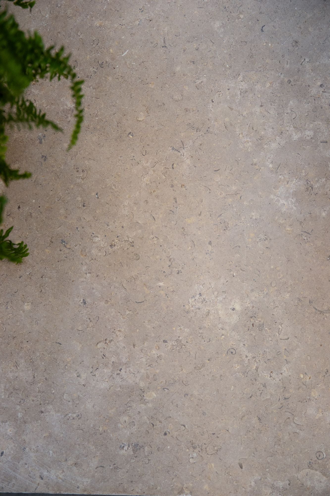 Selborne Limestone Tumbled Finish