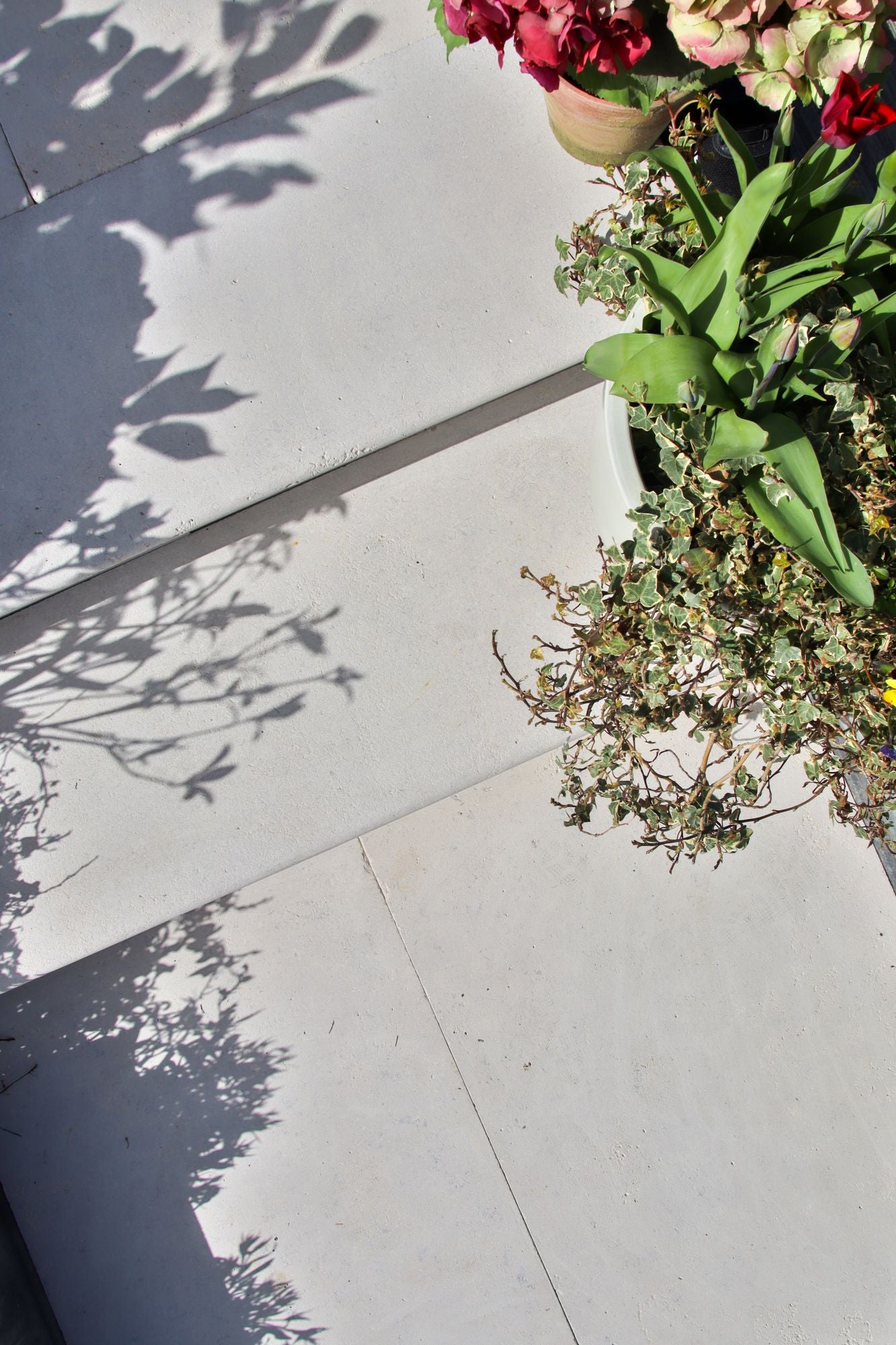 Selborne Limestone Weathered Finish
