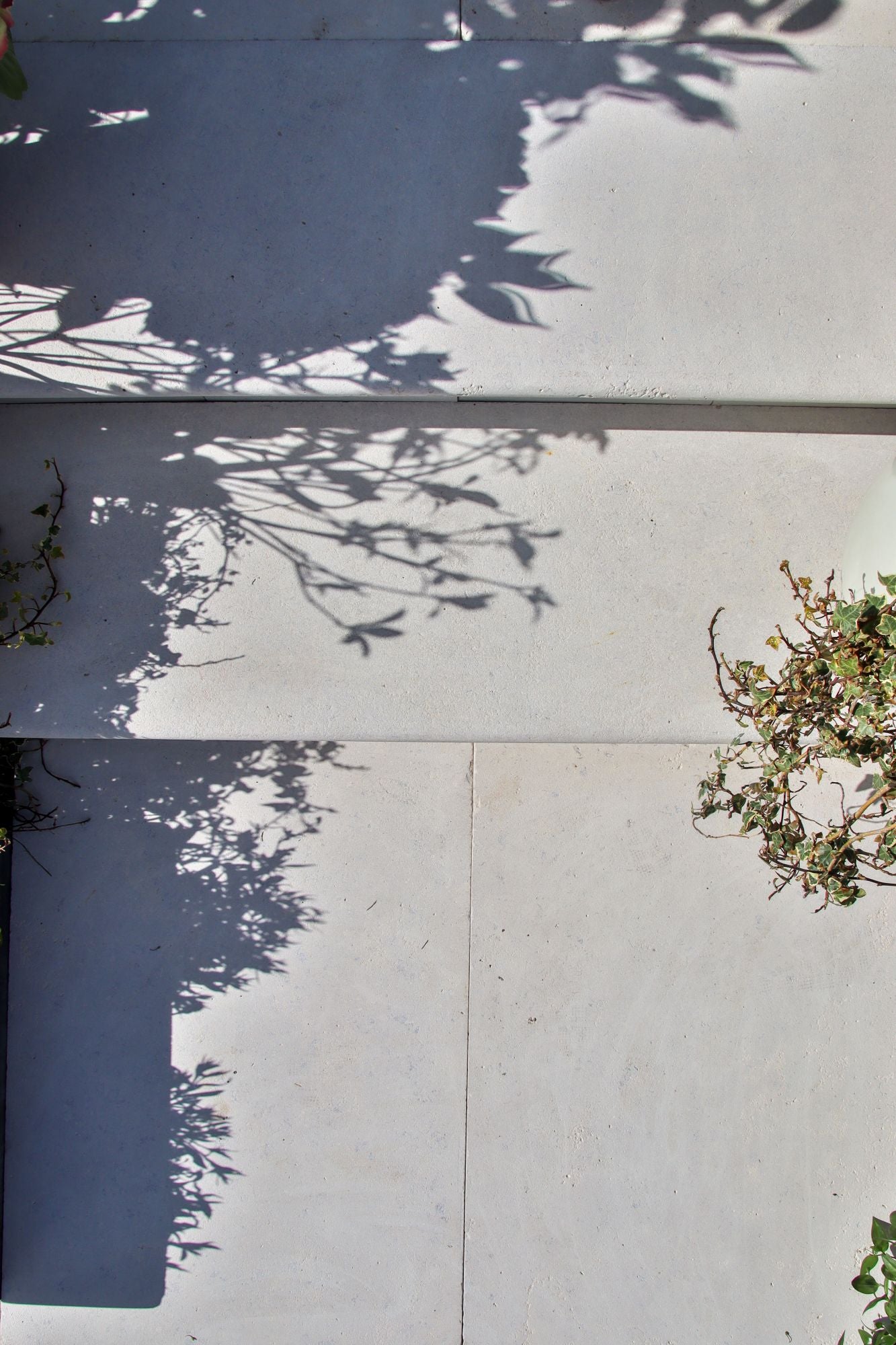Selborne Limestone Weathered Finish