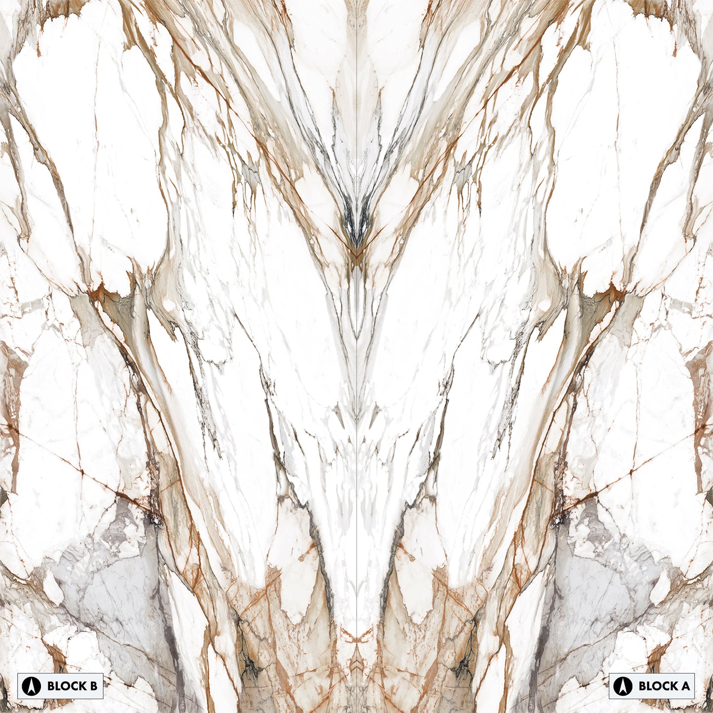 Marmi Macchia Vecchia Bookmatched (Full Lappato)