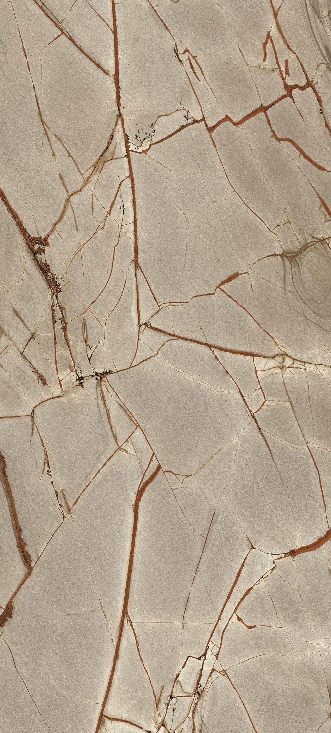 Marmi Rainforest (Comfort)