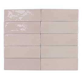 Seashell  Powder