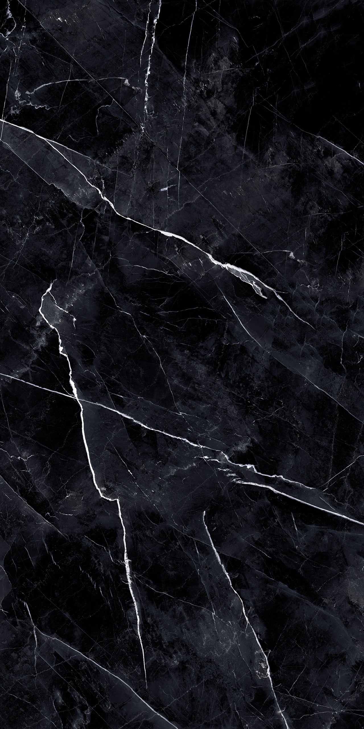Marmi Calacatta Black (Naturale)
