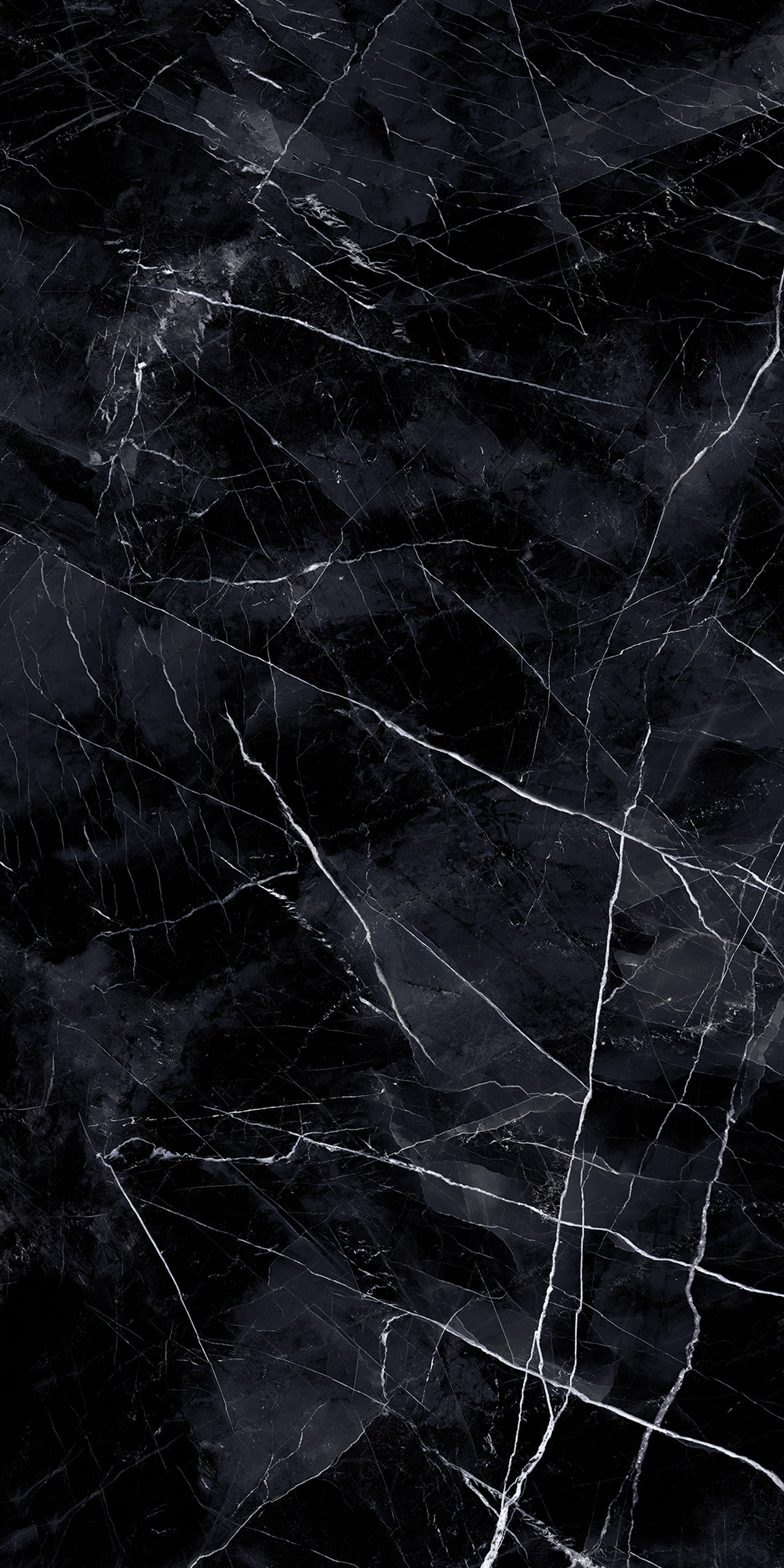 Marmi Calacatta Black (Naturale)