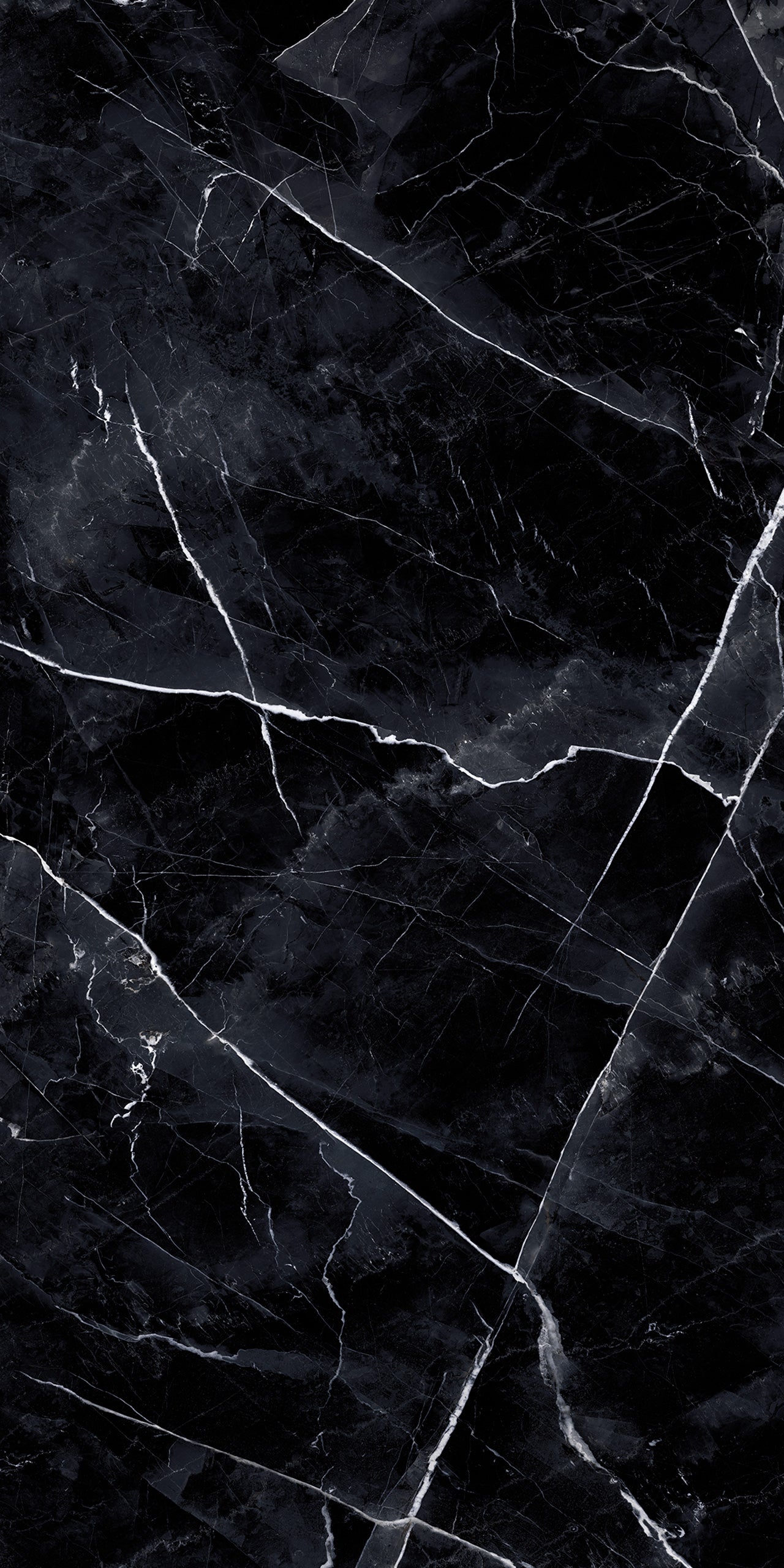 Marmi Calacatta Black (Naturale)