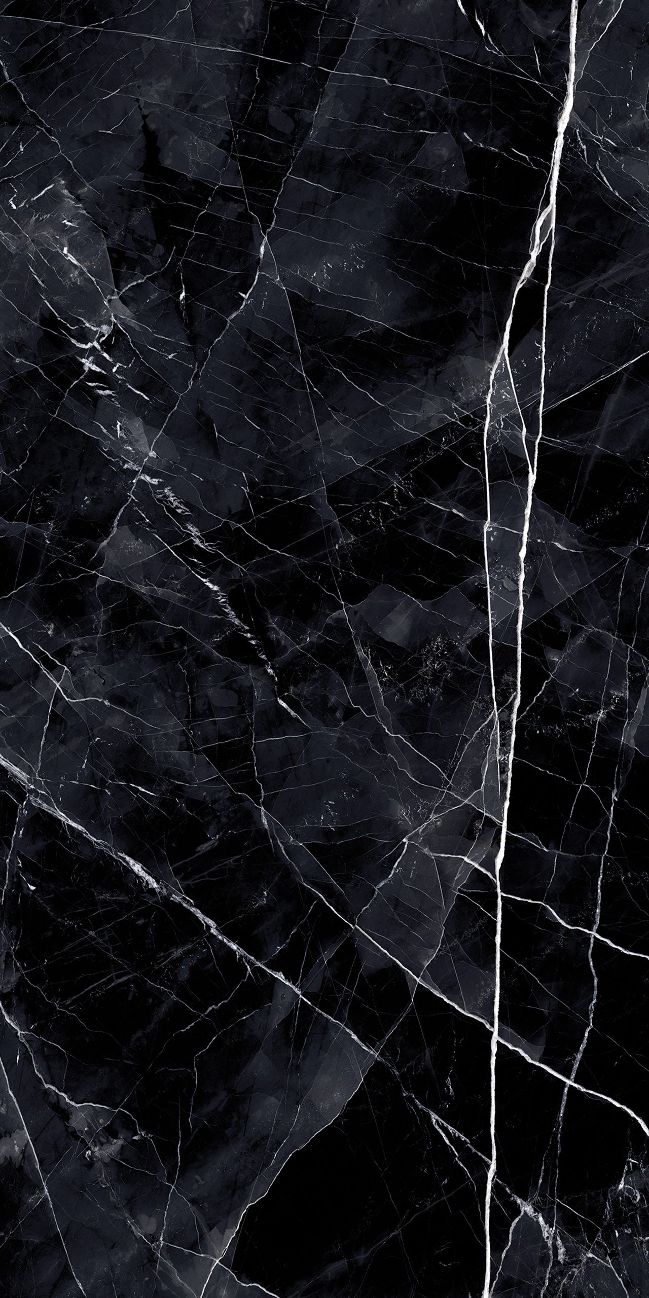 Marmi Calacatta Black (Naturale)