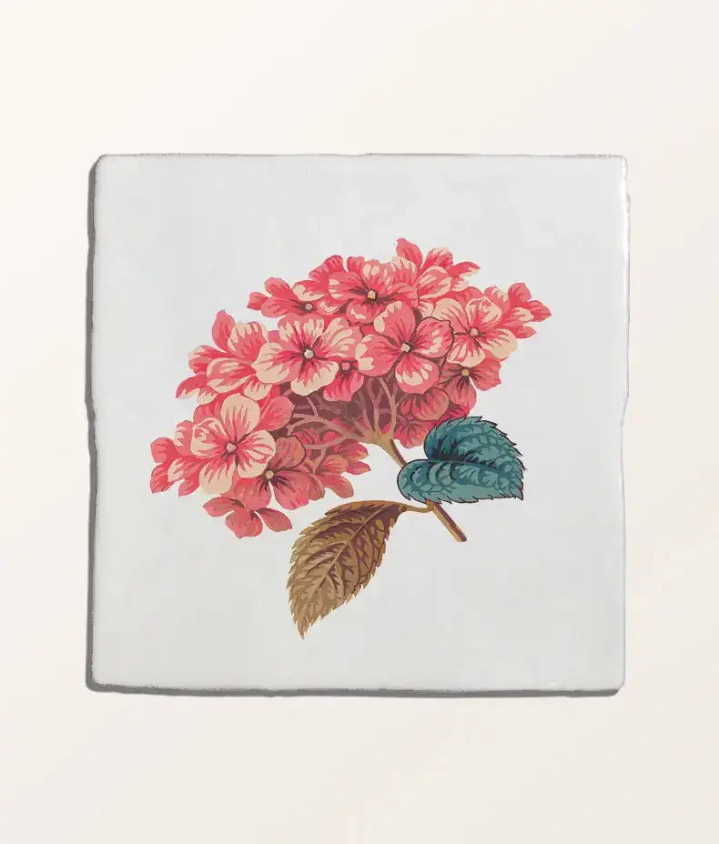 studio-divine-savages-the-brambles-hydrangea-belle-gloss-finish
