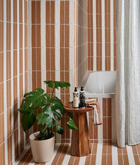 Earthenware Red Clay Finish