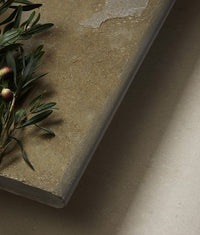 Trusloe Limestone Bullnose Coping Seasoned Finish