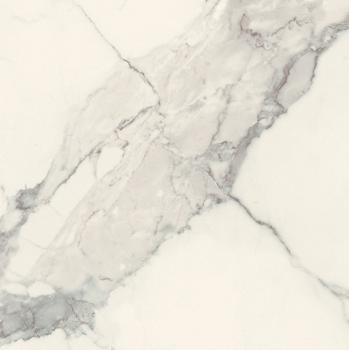Magnifica Statuario Honed (Room Lot)